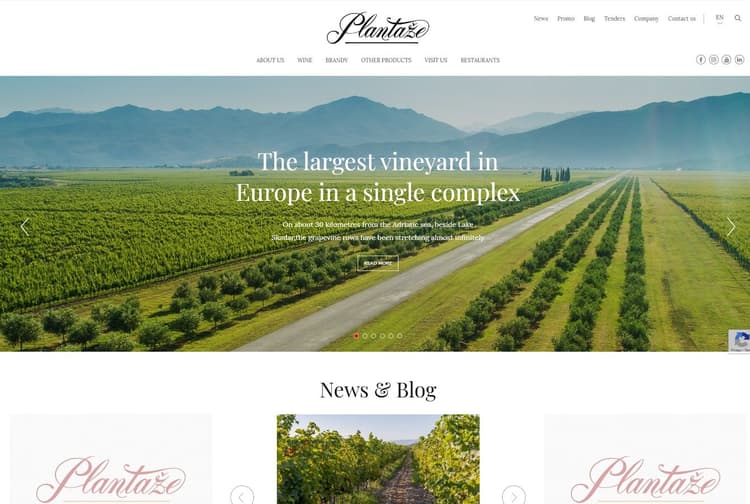 Main image for project: 13. Jul – Plantaže